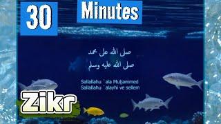 Durood Shareef || 30 Minutes Zikr || solution of all problems || Mind relaxing