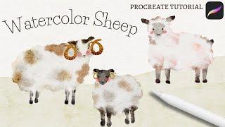 How to Draw and Paint Watercolor Sheep in Procreate | Simple Procreate Tutorial for Beginners