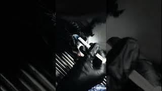 А вы знали, что животным тоже нужен стоматолог? #ветеринар #cat #животные #стоматолог #помощь