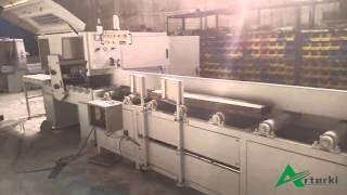 Arterki Plank Multiple Rip Saw MJ-PMR-3012 with Plank Feeding Machine