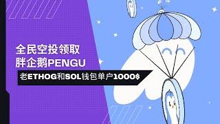 胖企鹅Pudgy Penguins阳光普照式全民大空投领取教程 | ETHOG和SOL钱包单户1000操作流程