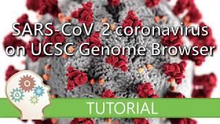 VISUALISE THE SARS-CoV-2 CORONAVIRUS GENOME - UCSC Genome Browser Tutorial series