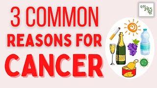 What causes cancer cells to form? Why is cancer common these days?