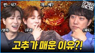 GOT7, 영재 유겸의 새로운 앨범 등장! 고추가 매운 이유가 이거라고? [궤도의 과학속으로 - GOT7 영재 유겸편]