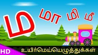 Learn Ma Maa Varisai Tamil Basic Alphabets ம மா மி மீ மு மூ Uirmai Eluthukal – KidsTv Sirukathaigal