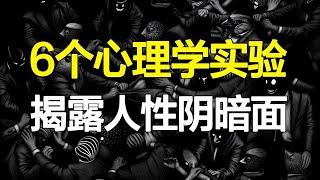 极具争议的6个心理学实验，臭名昭著却无法反驳，直击人性最阴暗的一面【心河摆渡】