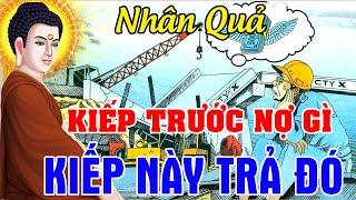 Chuyện Nhân Quả 2024 Hay, KIẾP TRƯỚC NỢ GÌ - KIẾP NÀY TRẢ ĐÓ...Báo Ứng 3 Đời | Chuyện Kể Đêm Khuya