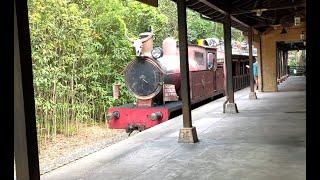 Train Ride To Rafiki's Planet Watch at Animal Kingdom Conservation Station