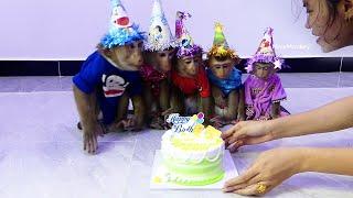 Wow Very Surprise Mum Celebrate Birthday For Five Little [ Dodo Mori Donal Morly & Zuji]