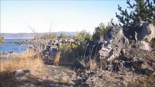 桜島・溶岩なぎさ公園