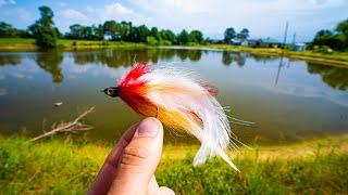 Fly Fishing a TROPHY BASS POND with BIG STREAMERS