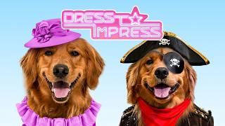 My Dogs Play DRESS TO IMPRESS!