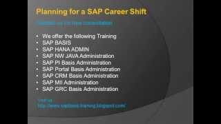 What does an SAP Basis Person do ?