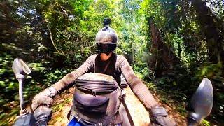 13: Entering Nigeria and Visiting Drill Ranch | Endangered Monkeys | Motorcycle Diaries | CB 500 S