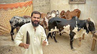 Bakra eid first day vlog 