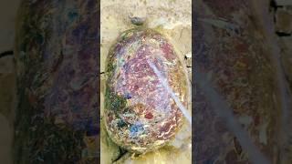 amazing lake superior rocks hunting agate gems stone 12 #crystalhunting #youtubeshorts #shortsvideo