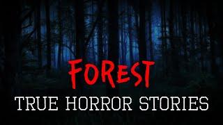 4 Scary True Deep Woods Horror Stories