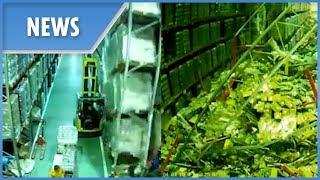 Incredible moment forklift driver causes an entire warehouse to collapse when he bumps into shelf