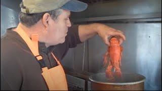 How to cook and eat Maine Lobster