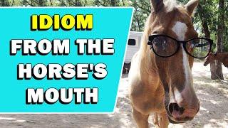 Idiom 'From The Horse's Mouth' Meaning