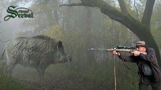 Wild Boar Hunting in Baranya –Part 2.- Perfect shots; Wildschweinejagd -Pirsch in Baranja - 2
