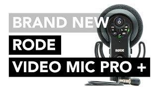 Wedding Filmmaker's Review of the RØDE Video Mic Pro Plus