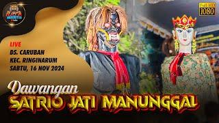 SEREM. Dawangan Melotot Satrio Jati Manunggal Live Caruban Ringinarum Kendal 16/11/2024 Terbaru