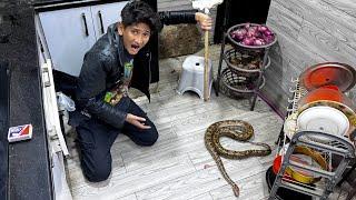 New House Tour Krte Huwe Snake Nikal Gya!