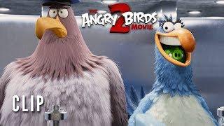 The Angry Birds Movie 2 Clip - Key Card