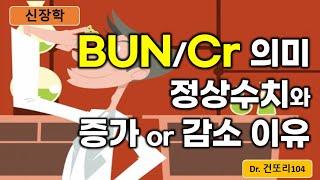 BUN(Blood Urea nitrogen, 혈중요소질소), Cr(크레아티닌, creatinine), BUN/Cr ratio(비율) 정상수치, 증가/감소