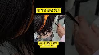 전체 통가발 짧은 컷트 #가발교육잘하는곳 #wigs