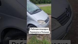 Рабочая лошадкп пепекупа в Польше, топчик #автопольша #автопродажапольша #автоскупваршава #автовыкуп