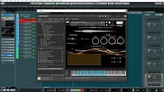 Flux 1 // Tutorial - Warped // Kontakt