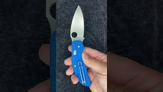 Spyderco Sage 3 Bolt Action