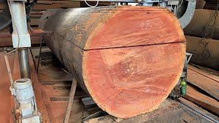 Amazing Woodworking Factory | Operating Extra Large Saws, Cheesy Wood Giant 200 Year Old