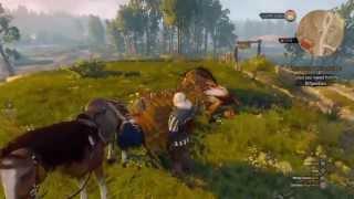 The Witcher 3 First Griffin Kill on PS4