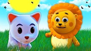 Kitty Katze Kitty Katze | 3D-Kinderreime und Babylieder | @HooplaKidzDeutsch