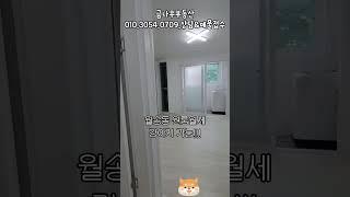 여주 반려견 가능 원룸 월세#여주원룸