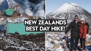 You Won't Believe The TONGARIRO CROSSING! (#1 Day Hike In New Zealand) | Taupo Trippin [ Ep 02 ]