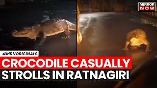 Ratnagiri Crocodile | Huge Crocodile Appears On Maharashtra Street Amid Heavy Rain | Latest News