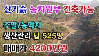 홍성군 장곡면 산기슭 농지원부 생산관리 답 525평  4200만원 귀농귀촌 싼땅전문 주말 농막지 홍성부동산 예산부동산 부동산필