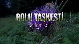 Bolu / Taşkesti Belgeseli