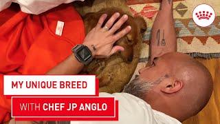 My Unique Breed with Chef JP Anglo | Royal Canin PH