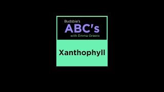 What Does XANTHOPHYLL Mean? Budsbie’s ABC’s with Emma Greens