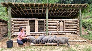 FULL VIDEO: 45 Days Build a House for Pig, Chicken, Bamboo House 2022, Wood Fence