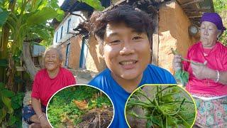 Second vlog by mom(आज आमाले कुखुरा चराउदै vlog बनाउनु भयो)Daily village life aama xora mix vlog