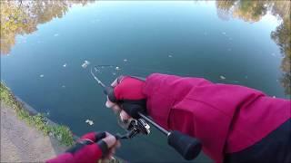 Trout Area for BIG TROUT | Trout Fishing with soft plastics | Ultra Light Fishing