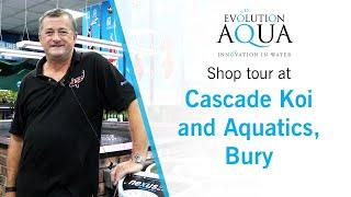 Shop tour at Cascade Koi and Aquatics