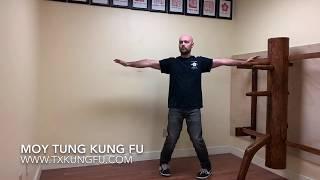 Ving Tsun (Wing Chun) at Home Workout - 1 -  Houston, TX