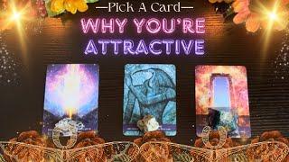  WHY PEOPLE FIND YOU ATTRACTIVE + WHAT YOU’RE ATTRACTING *NOW*  | Timeless Pick A Card  #tarot